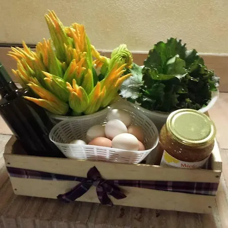 בית חווה Monte Dell'olmo *